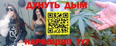дмт Гатчина