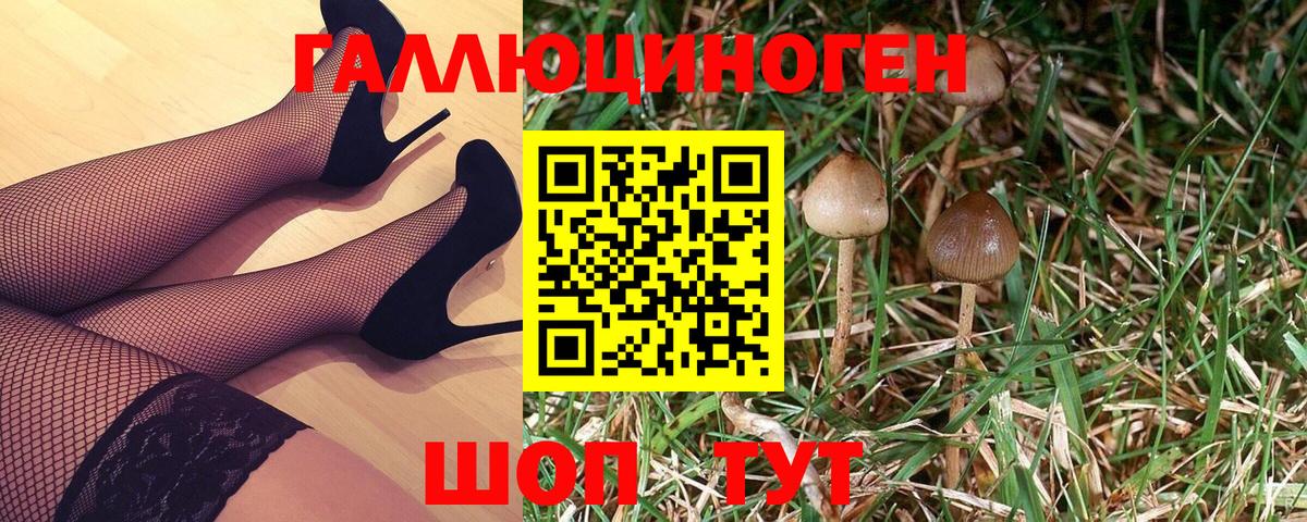 Изобильный  Галлюциногенные грибы Magic Shrooms  Вход с VPN  Галлюциногенные грибы Cubensis 